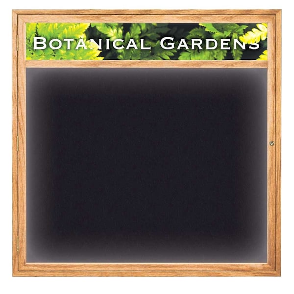 Open Faced Traditional Corkboard, 36x24"